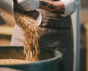 Mains-travailleuse-sac-de-grains