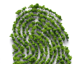 Bannière d'Economie d'Energie