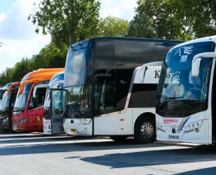 Une rangée d'autocars