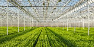 Les enjeux de la rénovation énergétique dans le monde agricole